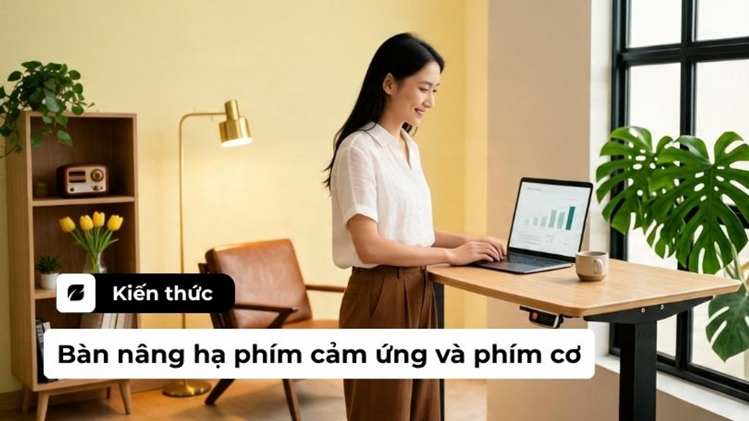Bàn nâng hạ phím cảm ứng và phím cơ: Chọn loại nào tối ưu làm việc?