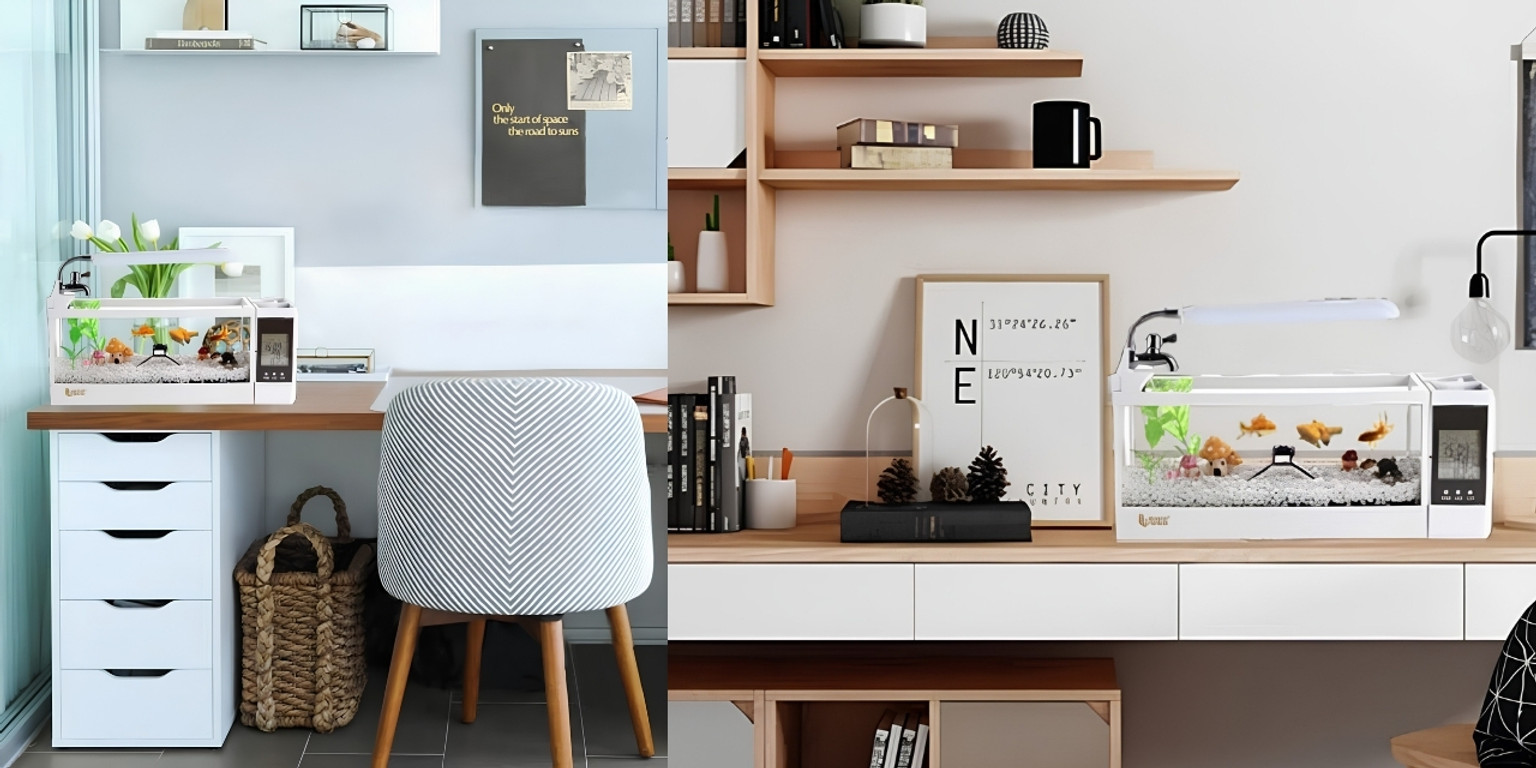 Đặt bể cá trên bàn làm việc: Cách setup phong thủy và bảo vệ bàn