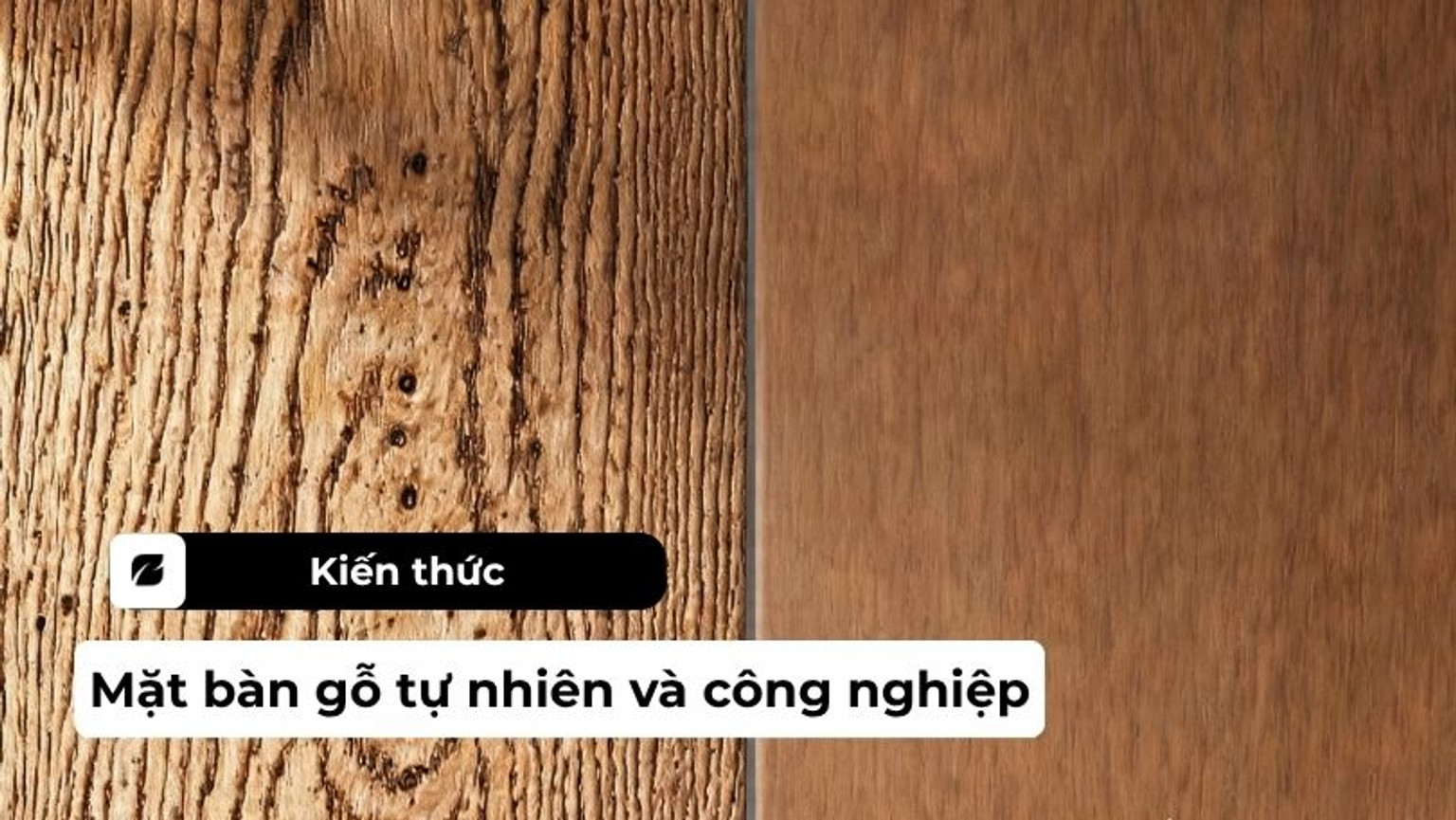 So sánh mặt bàn gỗ tự nhiên và công nghiệp: Lựa chọn nào tối ưu?