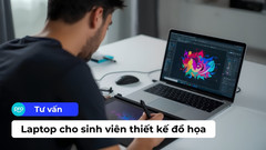 Top 7 laptop cho sinh viên thiết kế đồ họa giá tốt, chất lượng tại ThinkPro