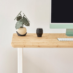 Bamboo