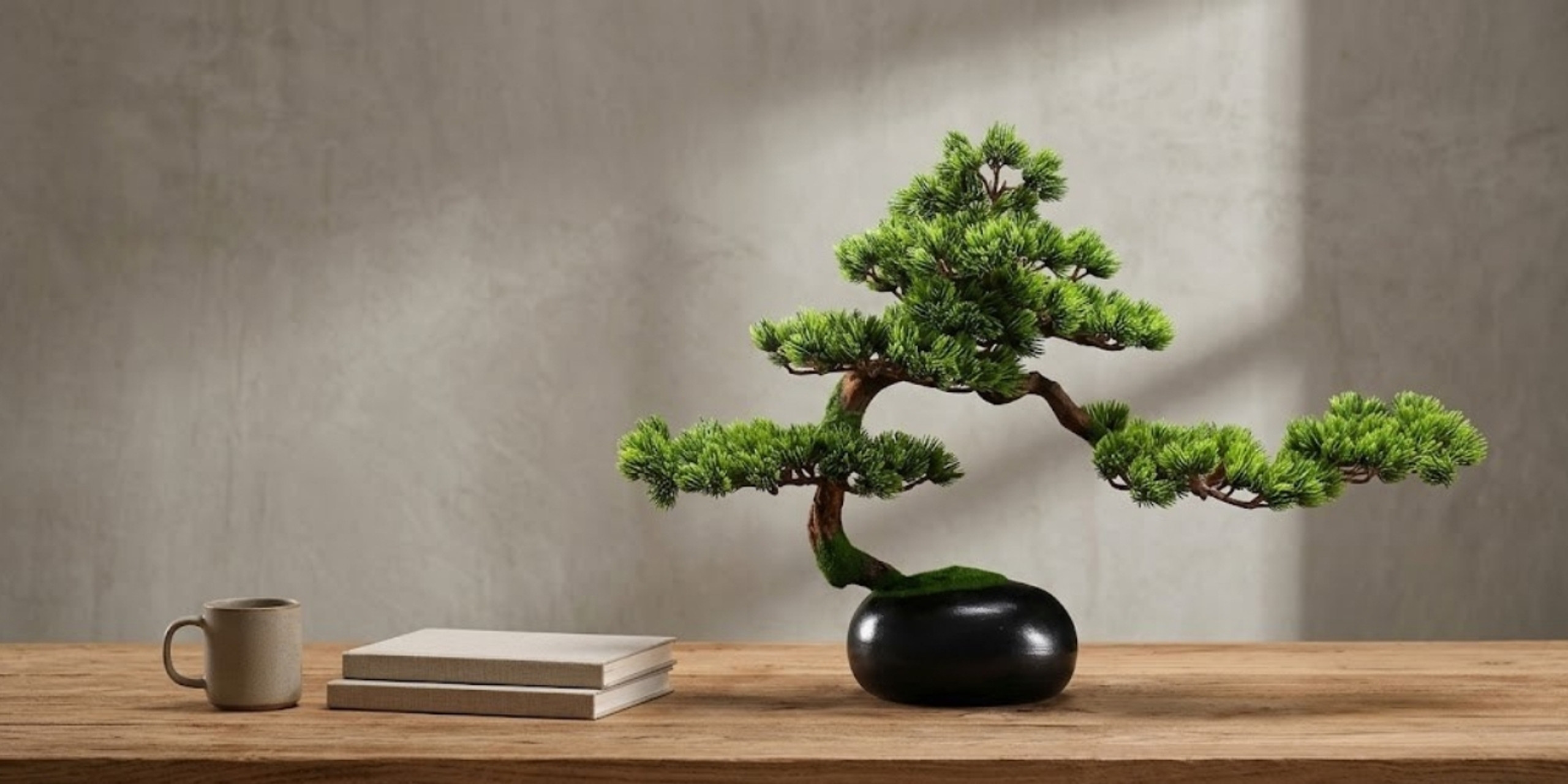 Cây Tùng La Hán để bàn làm việc - Khí chất quân tử, trợ lực sự nghiệp