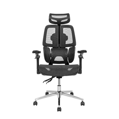 Combo Motion S 1M2 + Ghế Leaf Flow