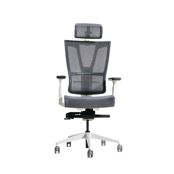 Ghế công thái học Epione ErgoChair Pro