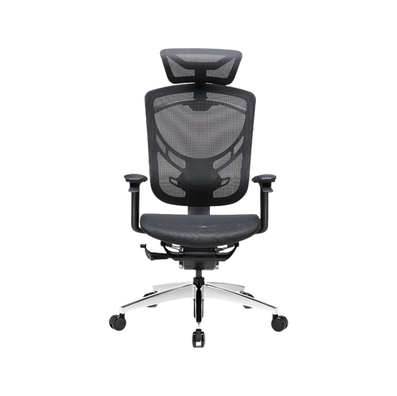 Ghế Công Thái Học GT Chair Dvary Ivino Gen II