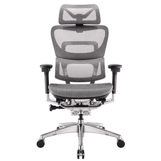 Ghế Công Thái Học Ergonomic Fly