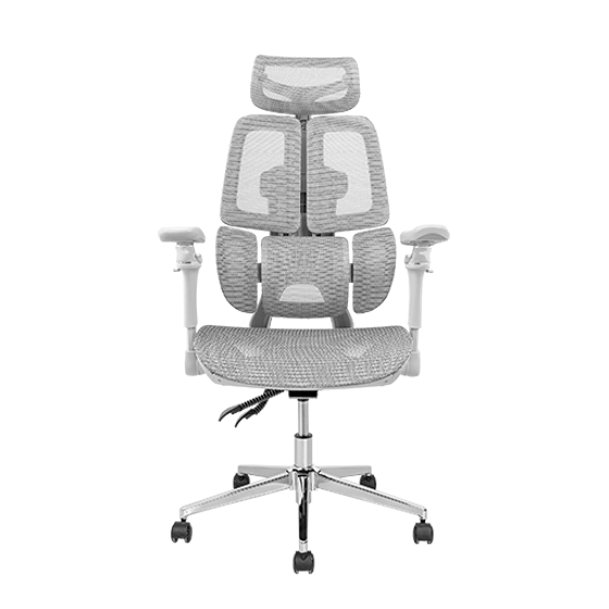 Ghế công thái học Leaf Flow Chair (All Grey - Mới, Full box, Chính hãng)