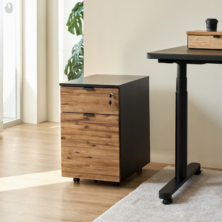 Hộc tủ tài liệu 2 ngăn Alexa — Gỗ Acacia tự nhiên, 2 ngăn