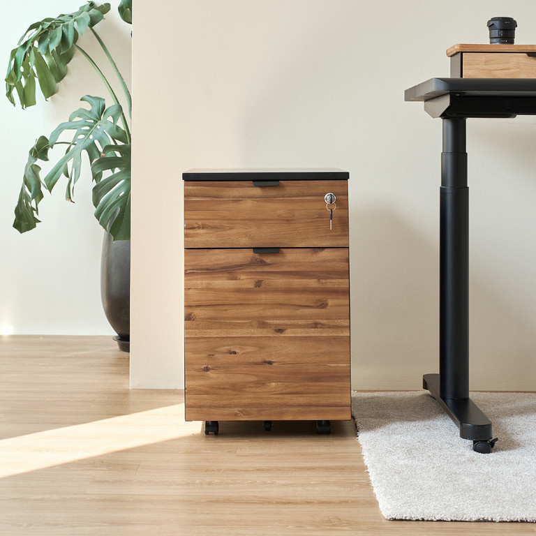 Hộc tủ tài liệu 2 ngăn Alexa