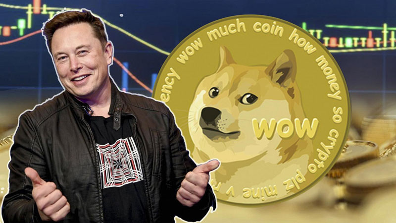 Giá DogeCoin tăng đột ngột sau khi Twitter xác nhận được bán lại cho Elon Musk