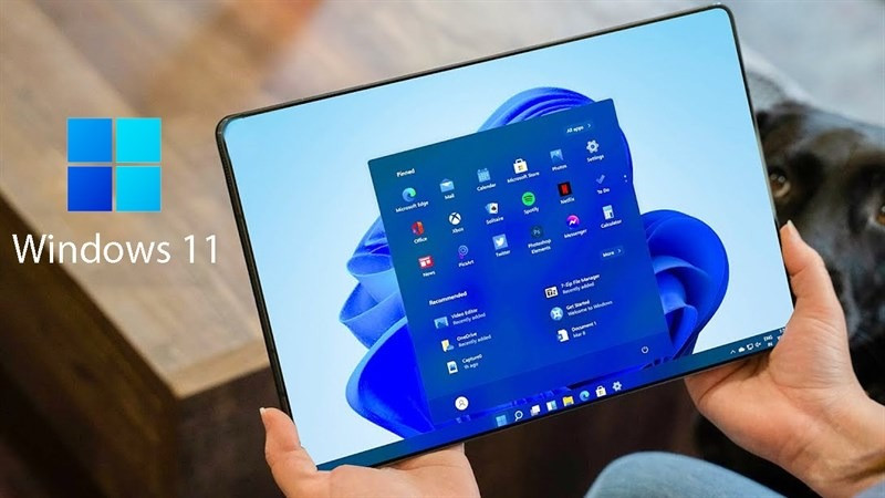 Xem bản đồ không cần Internet trên laptop Windows 11!