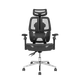 Ghế công thái học Leaf Flow Chair
