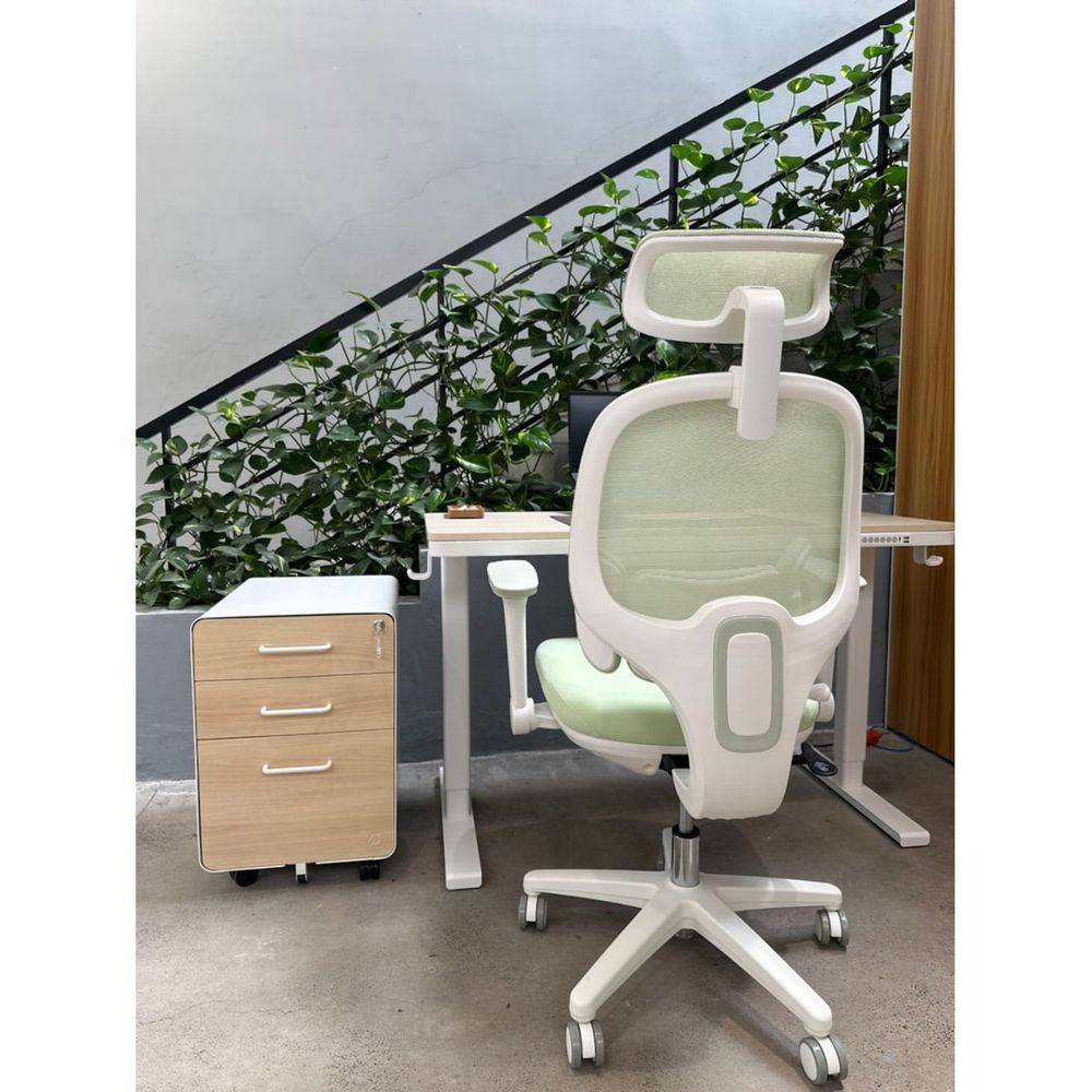 Ghế Công Thái Học Manson E3 Lite (Green - Mới, Full box, Chính hãng)