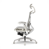 Hình ảnh thumbnail 3 của Ghế Công Thái Học GT Chair Dvary Butterfly Pro (Pro - Gray - Mới, Full box, Chính hãng)