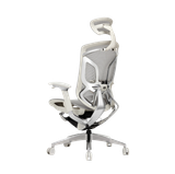 Hình ảnh thumbnail 4 của Ghế Công Thái Học GT Chair Dvary Butterfly Pro (Pro - Gray - Mới, Full box, Chính hãng)