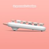 Hình ảnh thumbnail 4 của Bàn phím cơ IQUNIX M80 Cute Cat Ragdoll (Hồng - Mới, Full box, Chính hãng)