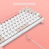 Hình ảnh thumbnail 6 của Bàn phím cơ IQUNIX M80 Cute Cat Ragdoll (Hồng - Mới, Full box, Chính hãng)