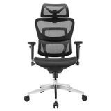 Hình ảnh thumbnail 1 của Ghế Công Thái Học Ergonomic Fly (Lite - Black - Mới, Full box, Chính hãng)