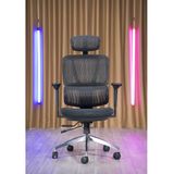 Hình ảnh thumbnail 3 của Ghế Công Thái Học SMA Lumbar (Lưng Lưới - Mâm Lưới - Black - Mới, Full box, Chính hãng)