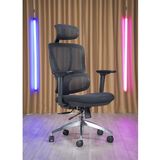 Hình ảnh thumbnail 4 của Ghế Công Thái Học SMA Lumbar (Lưng Lưới - Mâm Lưới - Black - Mới, Full box, Chính hãng)