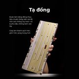 Hình ảnh thumbnail 2 của Bàn Phím cơ WOB Zen65 Limited Edition (PCB 1.6mm, Plate Aluminum, RGB, 3 Mode - Red - Mới, Full box, Nhập khẩu)