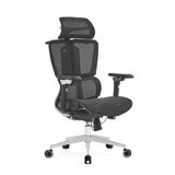 Hình ảnh thumbnail 2 của Ghế Công Thái Học Upgen Nexus (Không kèm kê chân - Black - Mới, Full box, Chính hãng)