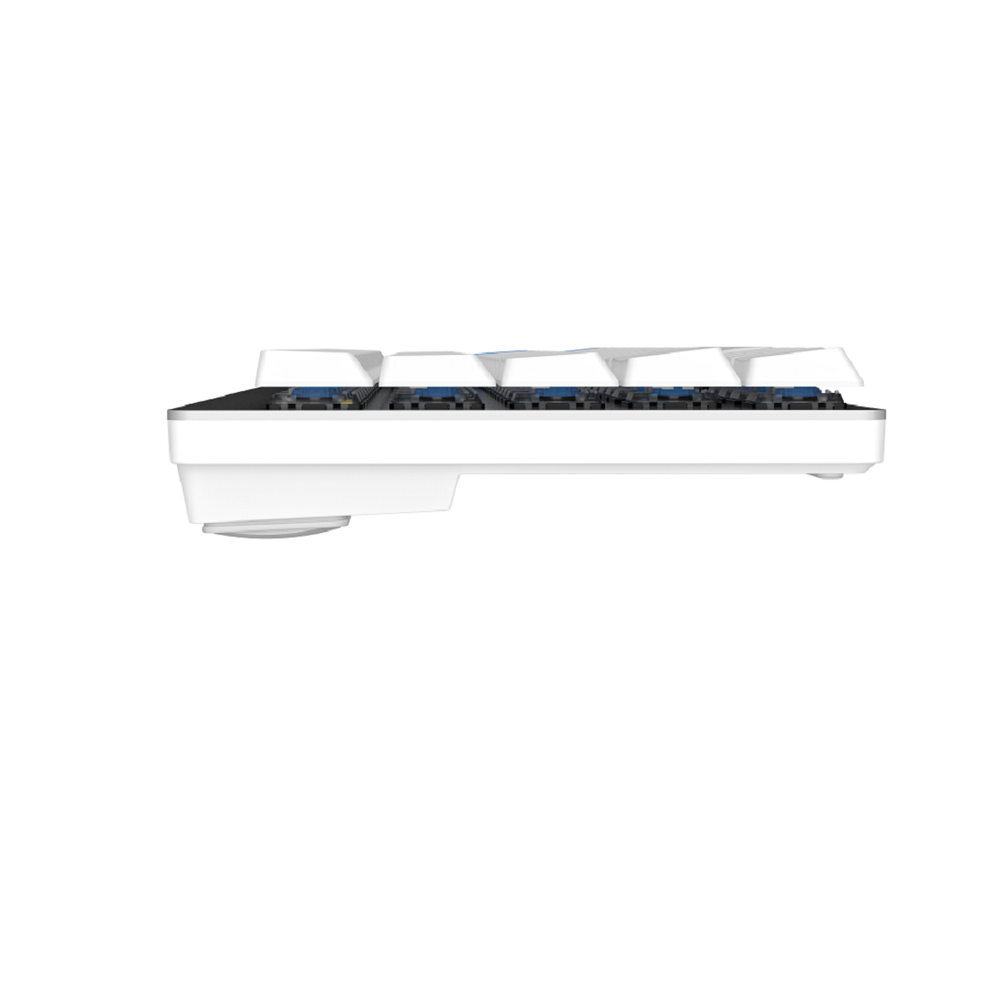 Hình ảnh 6 của Bàn phím không dây DareU EK868 - Low Profile (White - Mới, Full box, Chính hãng)