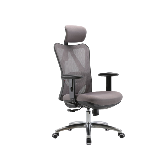 Hình ảnh 4 của Ghế Công Thái Học Sihoo M18 (Grey carbon - Mới, Full box, Chính hãng)