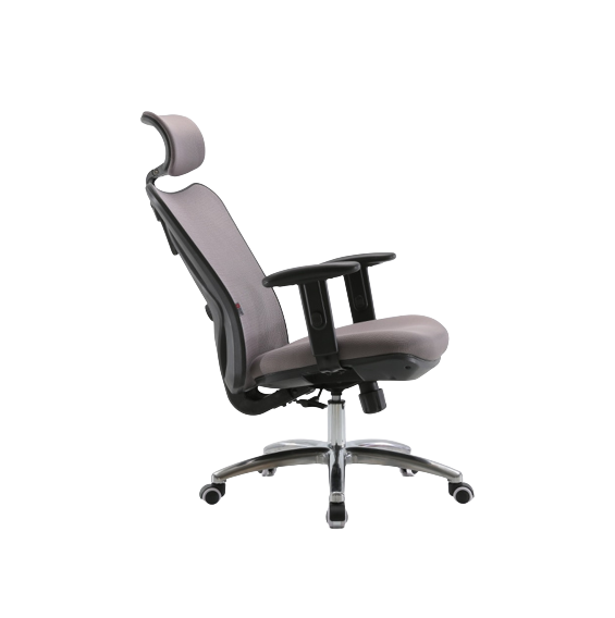 Hình ảnh 6 của Ghế Công Thái Học Sihoo M18 (Grey carbon - Mới, Full box, Chính hãng)