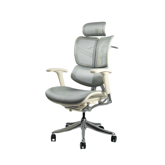 Hình ảnh 2 của Ghế công thái học Vchair Evolution (Mineral Gray - Mới, Full box, Chính hãng)