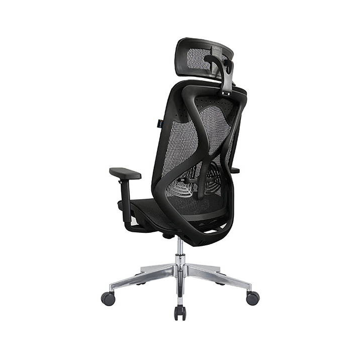 Hình ảnh 2 của Ghế công thái học E-DRA - EEC227 (Đen - Mới, Full box, Chính hãng)