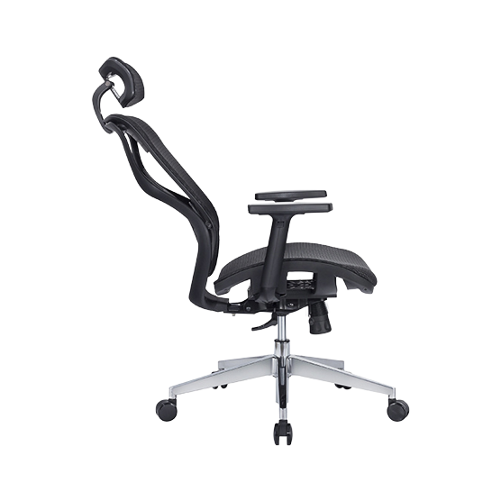 Hình ảnh 4 của Ghế công thái học E-DRA - EEC227 (Đen - Mới, Full box, Chính hãng)