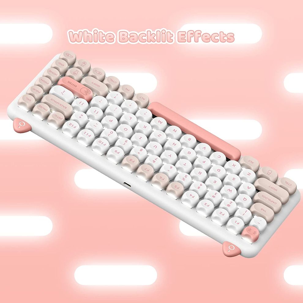 Hình ảnh 5 của Bàn phím cơ IQUNIX M80 Cute Cat Ragdoll (Hồng - Mới, Full box, Chính hãng)