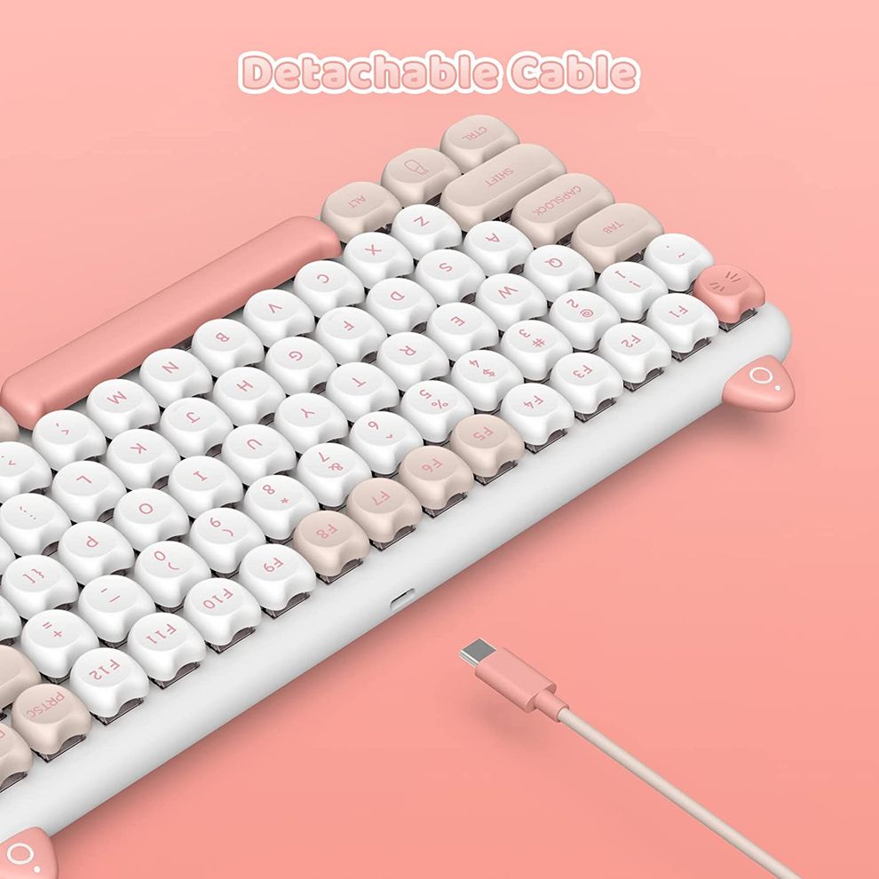 Hình ảnh 6 của Bàn phím cơ IQUNIX M80 Cute Cat Ragdoll (Hồng - Mới, Full box, Chính hãng)