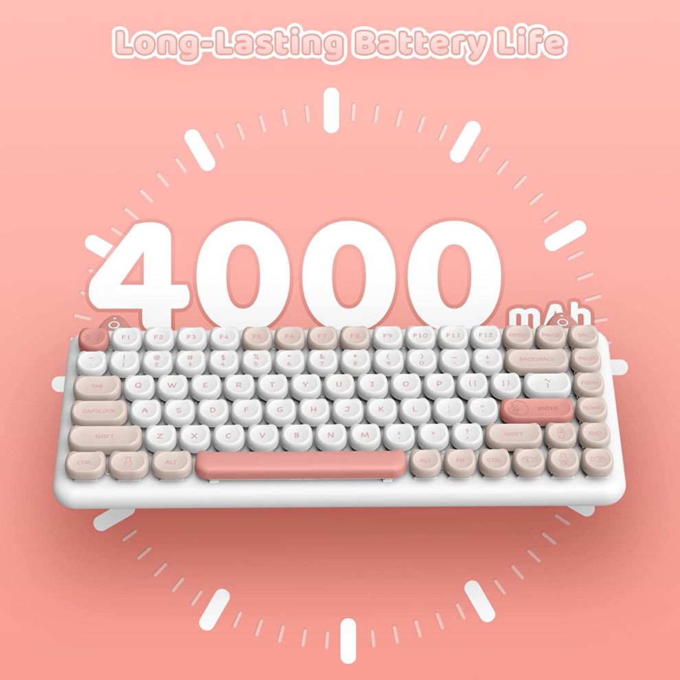 Hình ảnh 2 của Bàn phím cơ IQUNIX M80 Cute Cat Ragdoll (Hồng - Mới, Full box, Chính hãng)