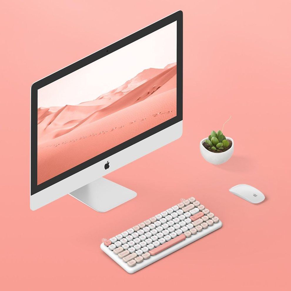 Hình ảnh 7 của Bàn phím cơ IQUNIX M80 Cute Cat Ragdoll (Hồng - Mới, Full box, Chính hãng)