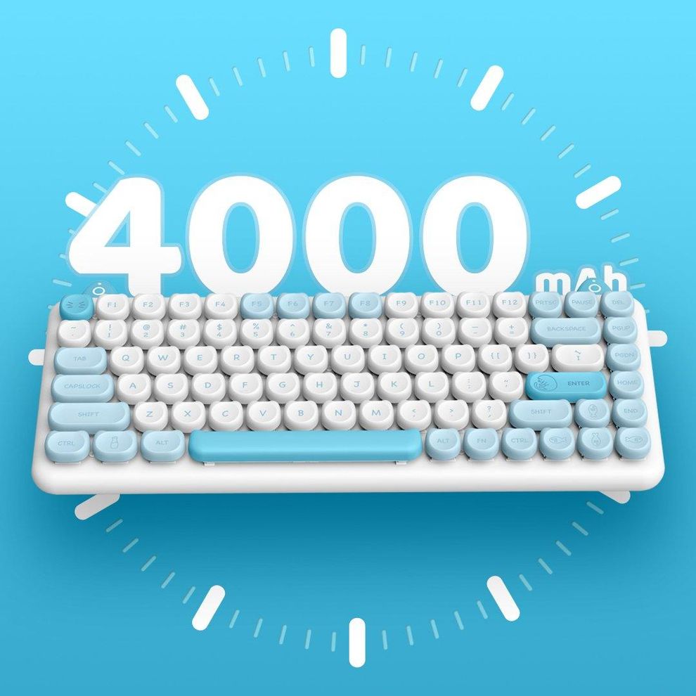 Hình ảnh 2 của Bàn phím cơ IQUNIX M80 Cute Cat Persian (Xanh Thiên thanh - Mới, Full box, Chính hãng)