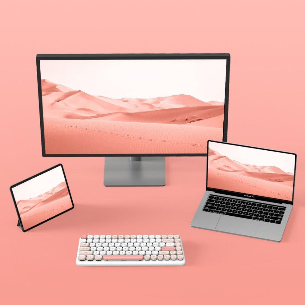 Hình ảnh 8 của Bàn phím cơ IQUNIX M80 Cute Cat Ragdoll (Hồng - Mới, Full box, Chính hãng)