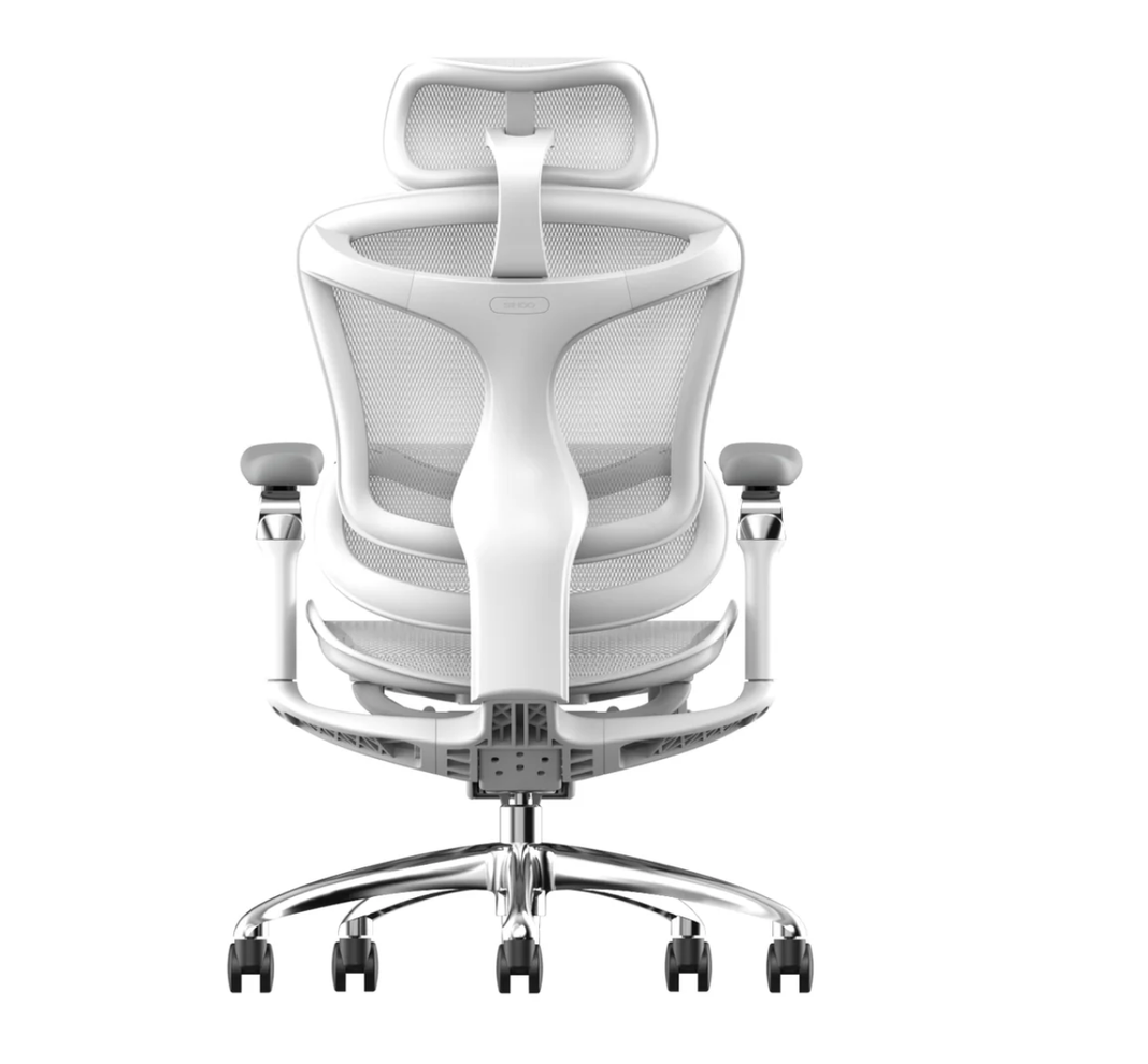 Hình ảnh 6 của Ghế Công Thái Học Sihoo A3 - Doro C300 (Không Kê Chân - White - Mới, Full box, Nhập khẩu)