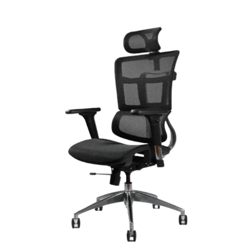 Hình ảnh 2 của Ghế Công thái học Ergo Nova (Black - Mới, Full box, Chính hãng)