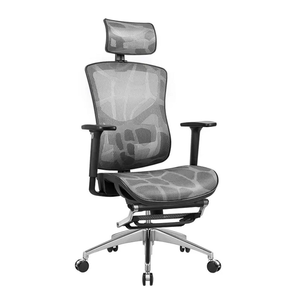 Hình ảnh 2 của Ghế Công Thái Học Manson Vera (Lưới Dragon - Grey - Mới, Full box, Chính hãng)