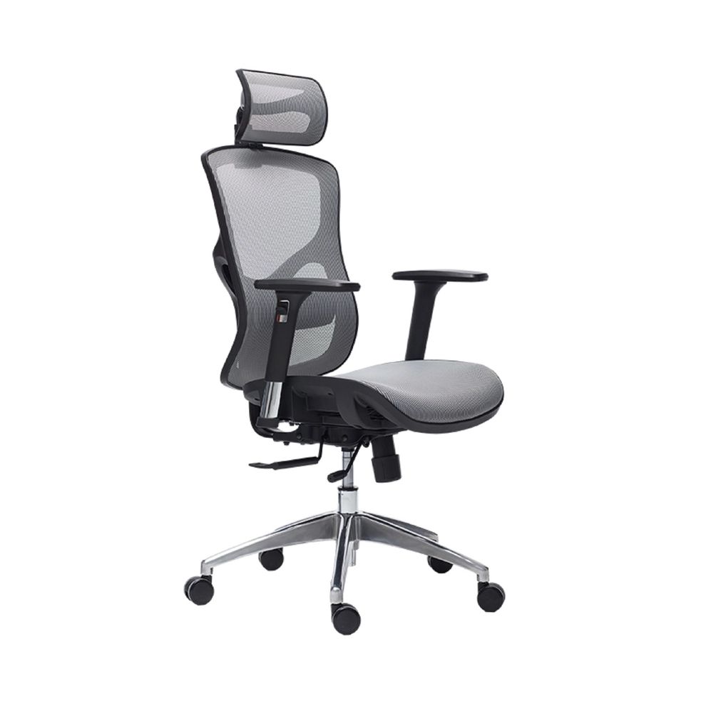 Hình ảnh 2 của Ghế Công Thái Học Manson Vera (Lưới Wintex - Grey - Mới, Full box, Chính hãng)