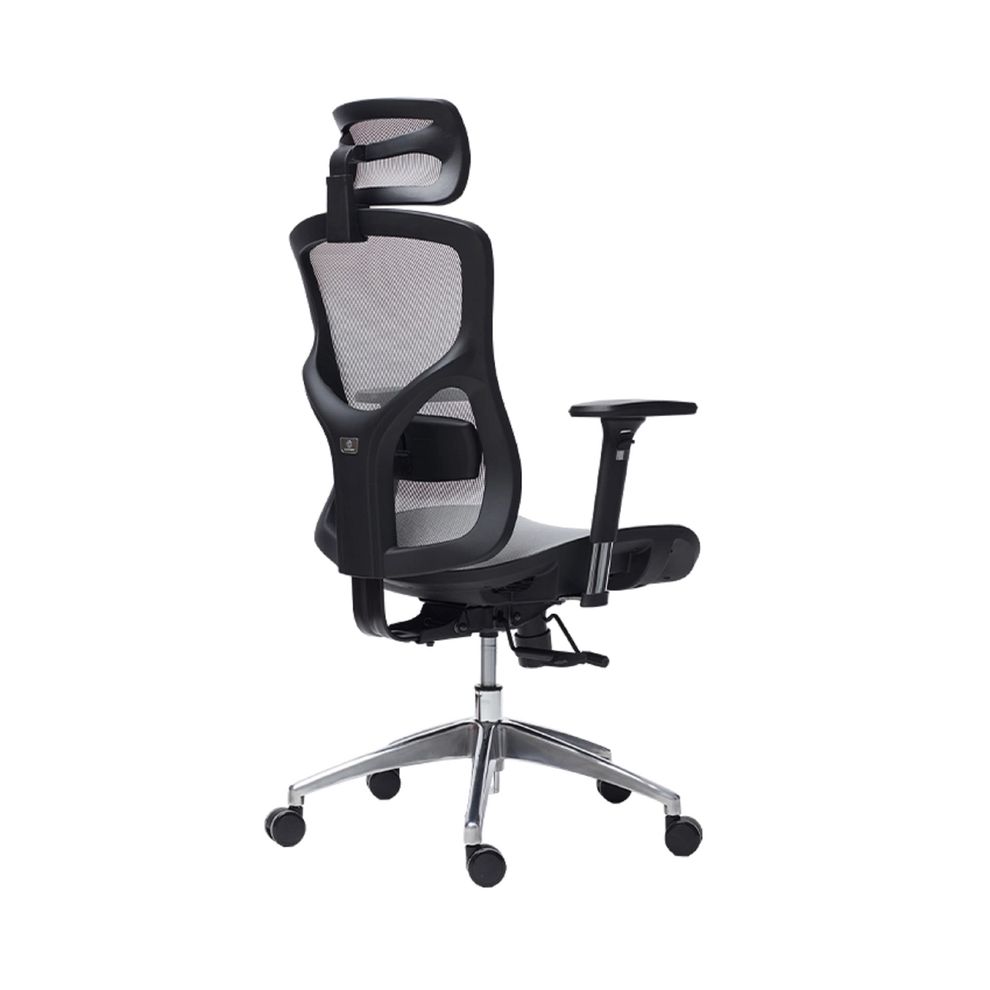 Hình ảnh 3 của Ghế Công Thái Học Manson Vera (Lưới Wintex - Grey - Mới, Full box, Chính hãng)