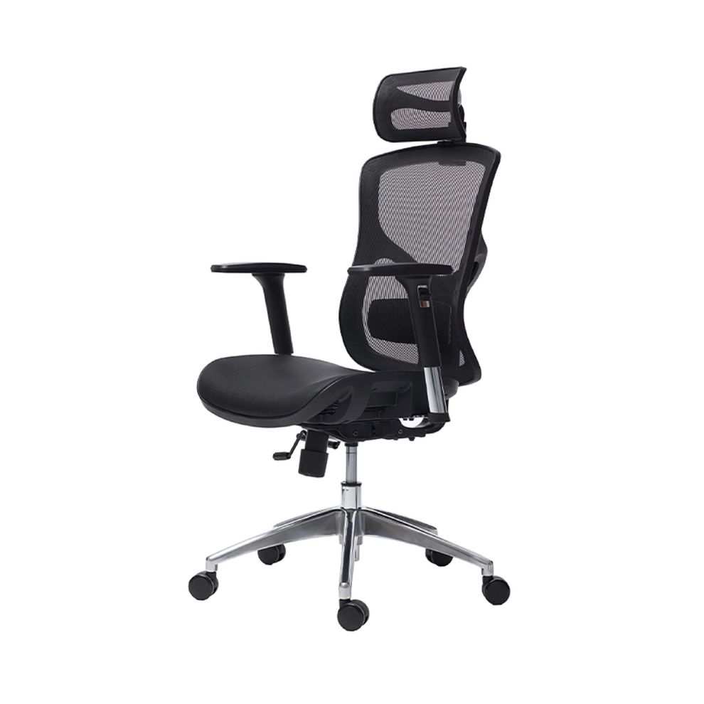 Hình ảnh 2 của Ghế Công Thái Học Manson Vera (Lưới Wintex - Black - Mới, Full box, Chính hãng)