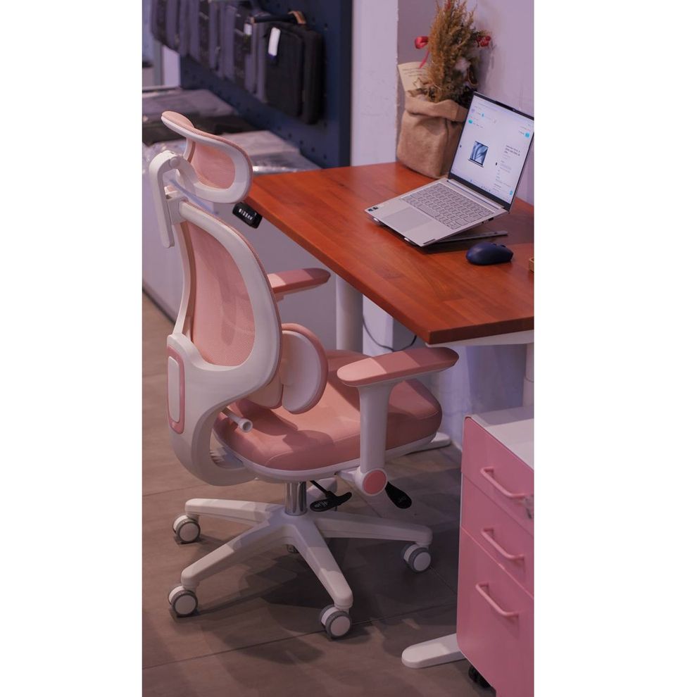 Hình ảnh 5 của Ghế Công Thái Học Manson E3 Lite (Nệm - Pink - Mới, Full box, Chính hãng)