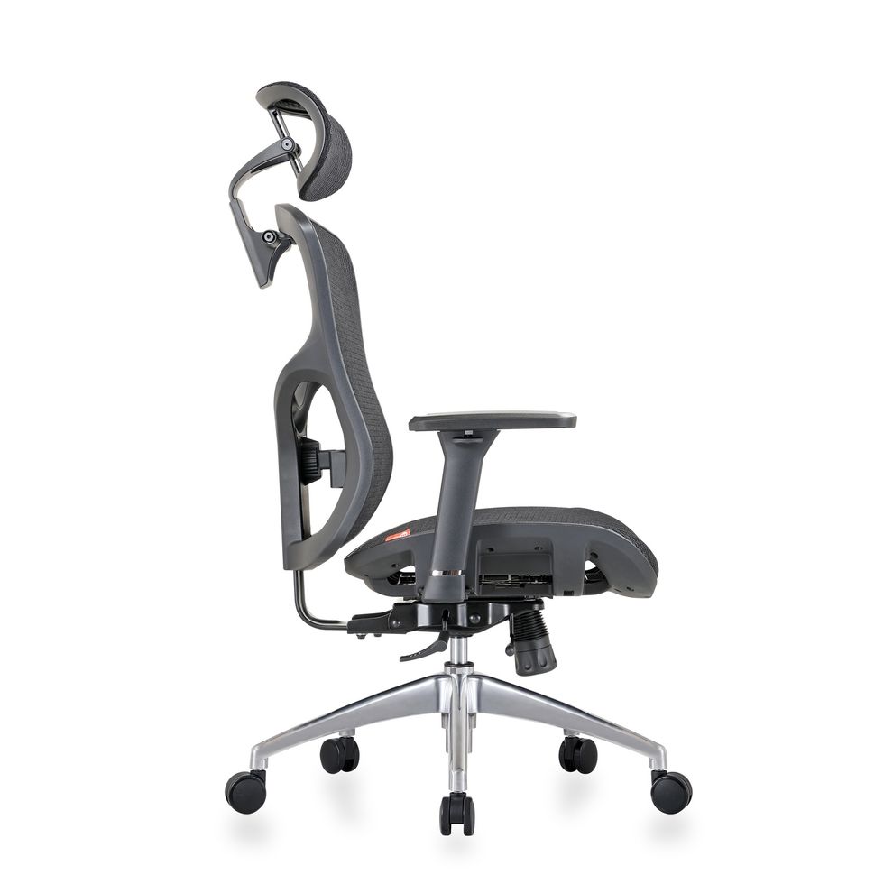 Hình ảnh 4 của Ghế Công Thái Học Manson Vera (Cloud Mesh V2 - Black - Mới, Full box, Chính hãng)