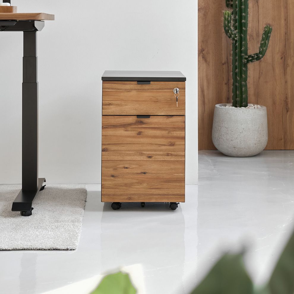 Hình ảnh 8 của Hộc tủ tài liệu 2 ngăn Alexa - By NiceDesign (2 ngăn - Black - Acacia Teaklook - Mới, Sealed, Chính hãng) (NDFC25ALEX01)