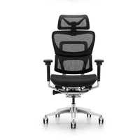 Ghế Công Thái Học Ergonomic Fly (Pro - Black - Mới, Full box, Chính hãng)