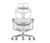 Ghế Công Thái Học Sihoo A3 - Doro C300 (Không Kê Chân - White - Mới, Full box, Nhập khẩu)