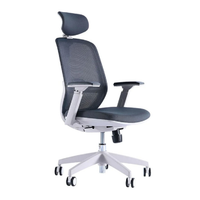 Ghế văn phòng CTH Ergo T21 Pro (Khung Đen - Lưới Đen - Black - Mới, Full box, Chính hãng)